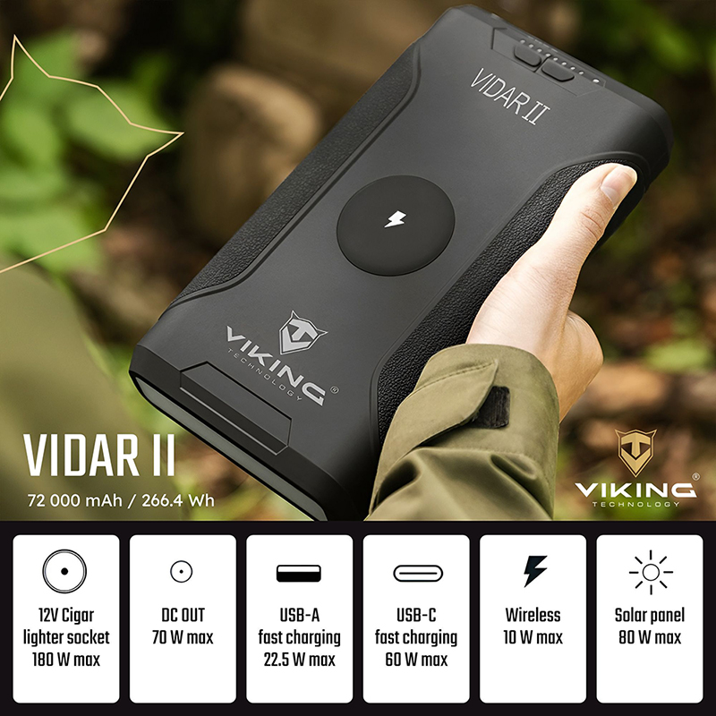 VIKING_VIDARII_800 (10)